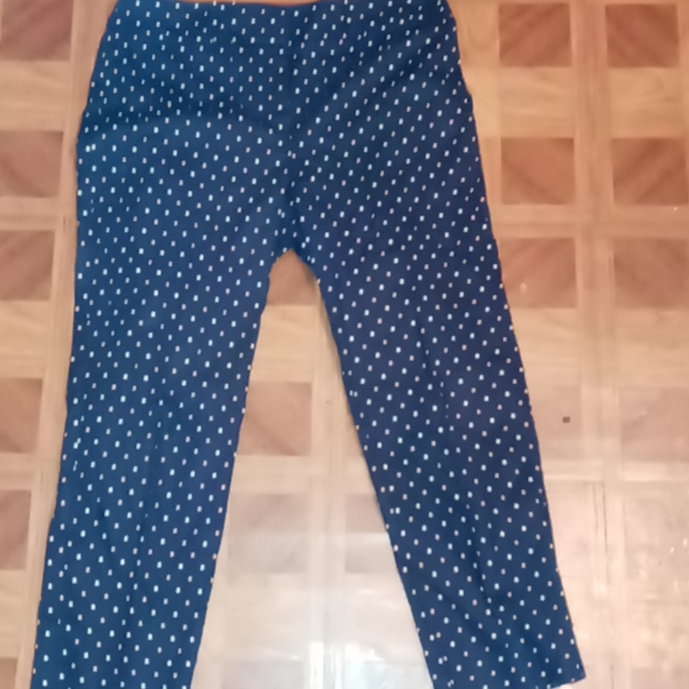 Ann Taylor Slacks